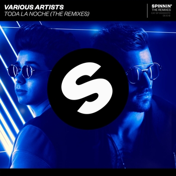 Alok – Toda La Noche (Mr. Pig Remix)