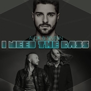 Alok – I Need The Bass