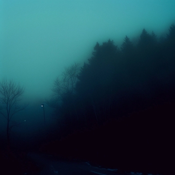 Sinalyx – fade (slowed reverb)