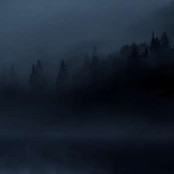 Sinalyx – dream