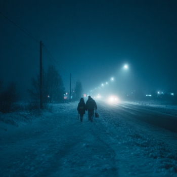 Sinalyx – winter dream