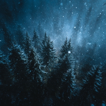 Sinalyx – silent woods