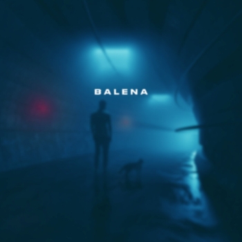 Skyfall Beats – Balena