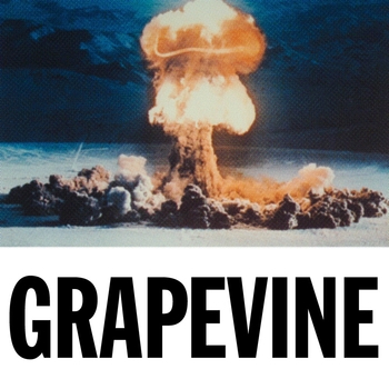 Tiesto – Grapevine