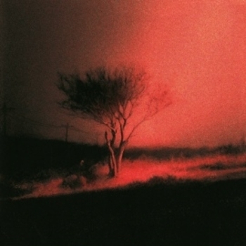Joji – Horses to Water