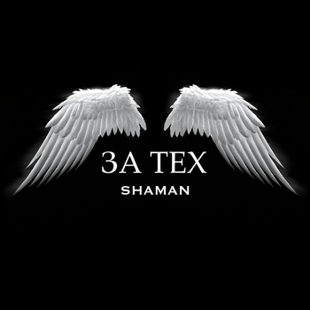 Shaman – ЗА ТЕХ