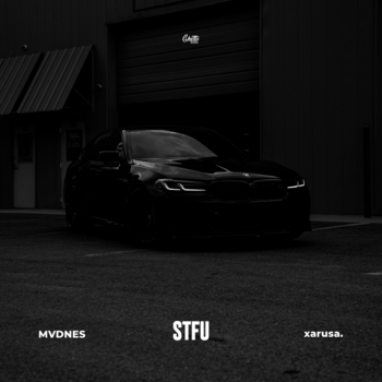 Mvdnes – Stfu
