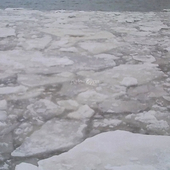Palc – Буря