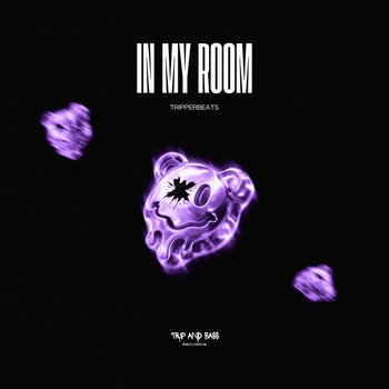 tripperbeats – In My Room - DnB