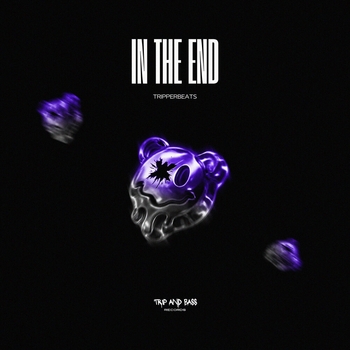 tripperbeats – In The End - DnB