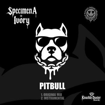 Specimen A, Ivory – PITBULL