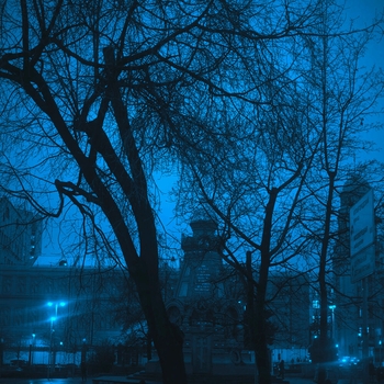 The Morph, Mklv – night vibe