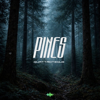 Quattroteque – Pines