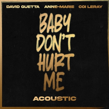 David Guetta – Baby Don't Hurt Me (Acoustic Instrumental)