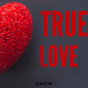 Dndm – True Love (Dndm Remix) (Single 2022) (Dndm)
