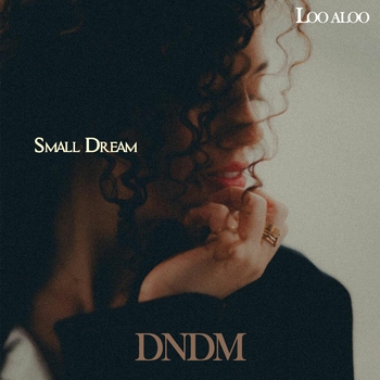 Dndm – Small Dream (Single 2021)