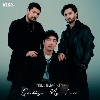 Dndm – Goodbye My Love