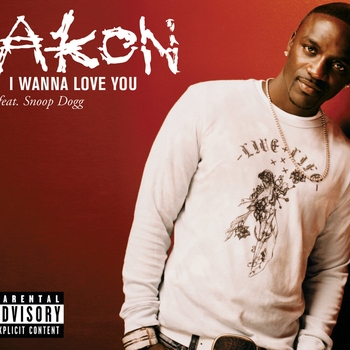 Akon – I Wanna Love You (Live From Canal Room)