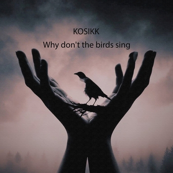 Kosikk – Why Don't the Birds Sing