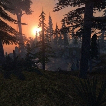 nleave – spring