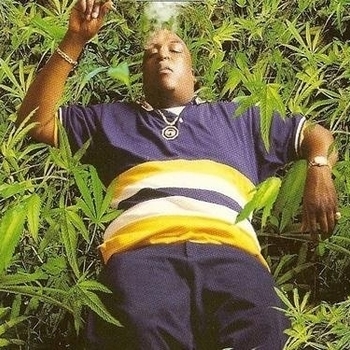 Celly Cel – It's Goin' Down