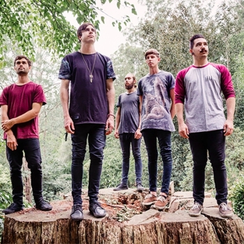 In Hearts Wake