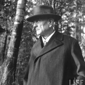 Jean Sibelius – Valse triste