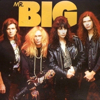 Mr. Big – I'll Leave It Up To You