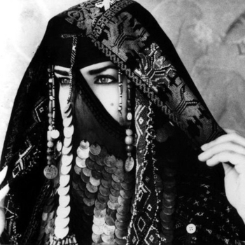 Assia – Wine