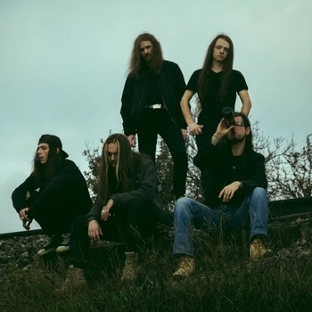 Nest – Metsa Heraa (Mietteita 2015)