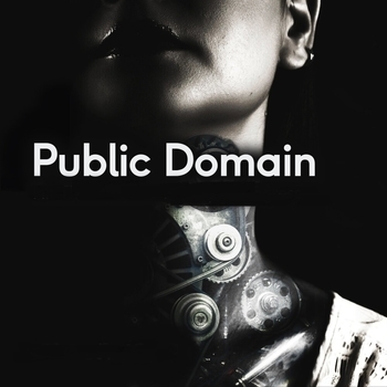 Public Domain – Too Many Mcs (Four Most Cuts Presents - Public Domain 2013)