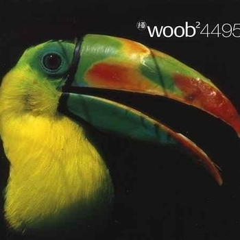 Woob – Void, Part 2 (303 Mix).
