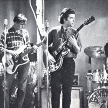13th Floor Elevators – Roller Coaster
