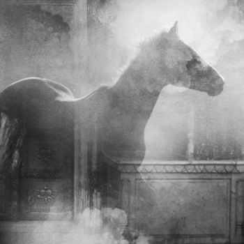 Brambles – To Speak of Solitude