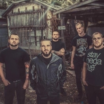 Bermuda – Bounce (Hollow Victories)