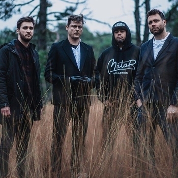 Bear – Hounds