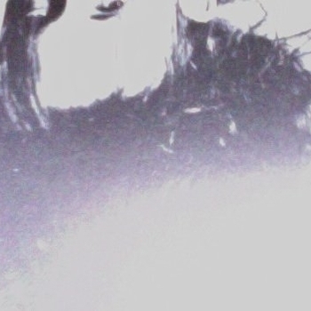 Bolder – Residuality