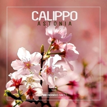 Calippo – Solstice