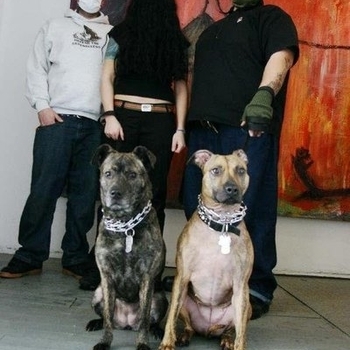 Caninus – No Dogs, No Masters