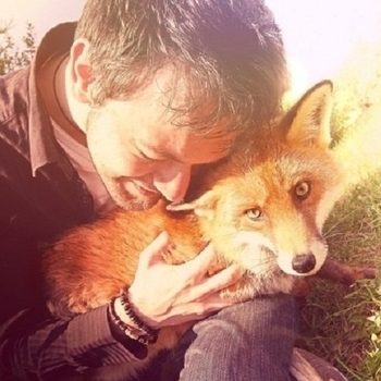 Fox Amoore