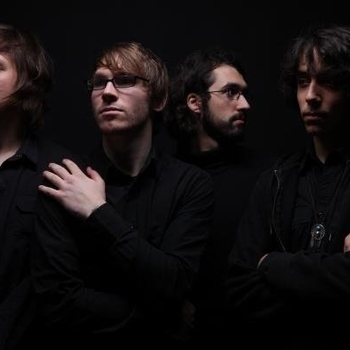 The Frames – Falling Slowly