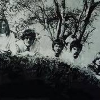 Fever Tree – Hey Mister