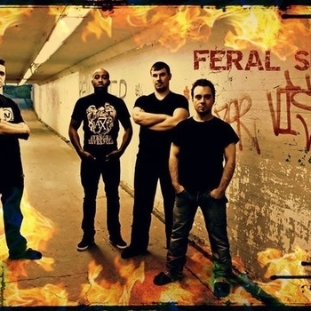 Feral Sun – Falling