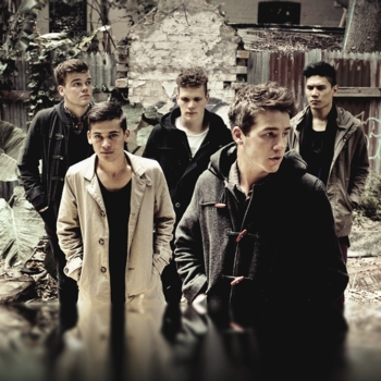 Gold Fields – Treehouse