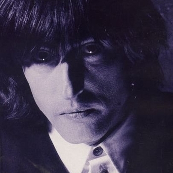 Gregg Tripp