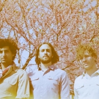 Hey Champ – Cold Dust Girl