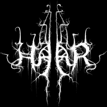 Haar