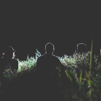 HRVRD – Cardboard Houses