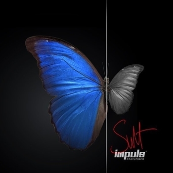 Impuls – Explozja (Levelon Remix)