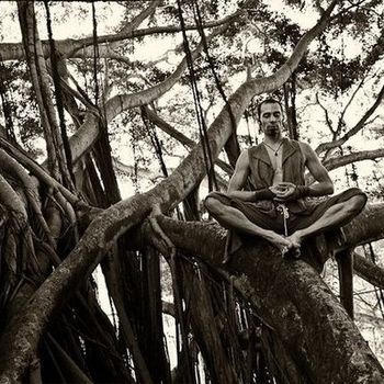 Kaminanda – Ritual Ecologies